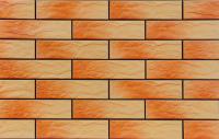 Плитка Cerrad Atakama (245x65) -
