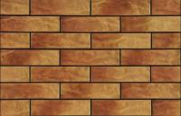 Плитка Cerrad Dakota Рустик (245x65) -