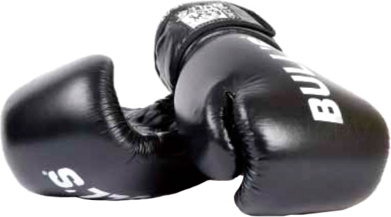 Боксерские перчатки Bulls